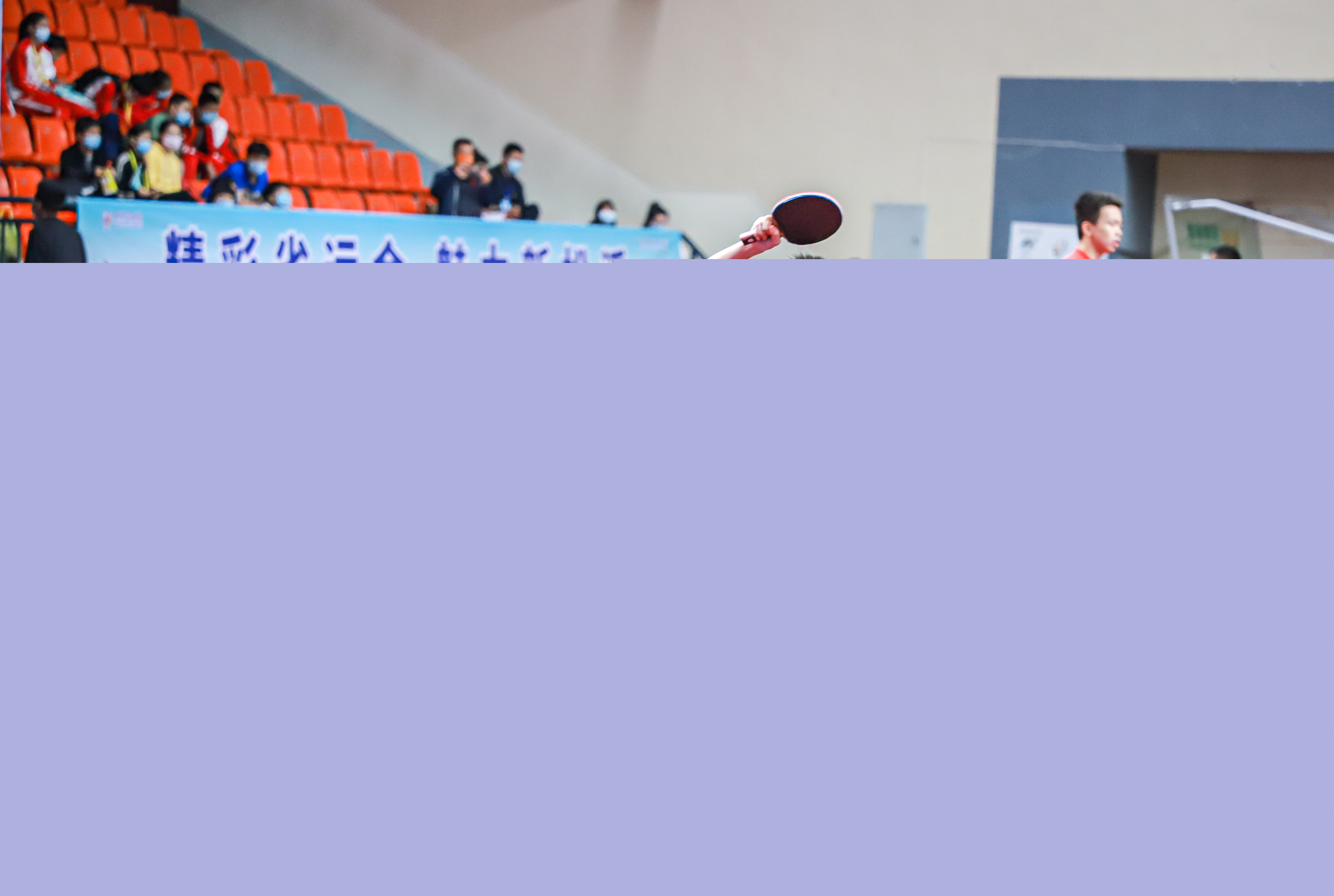 有着丰富执 有着丰富执