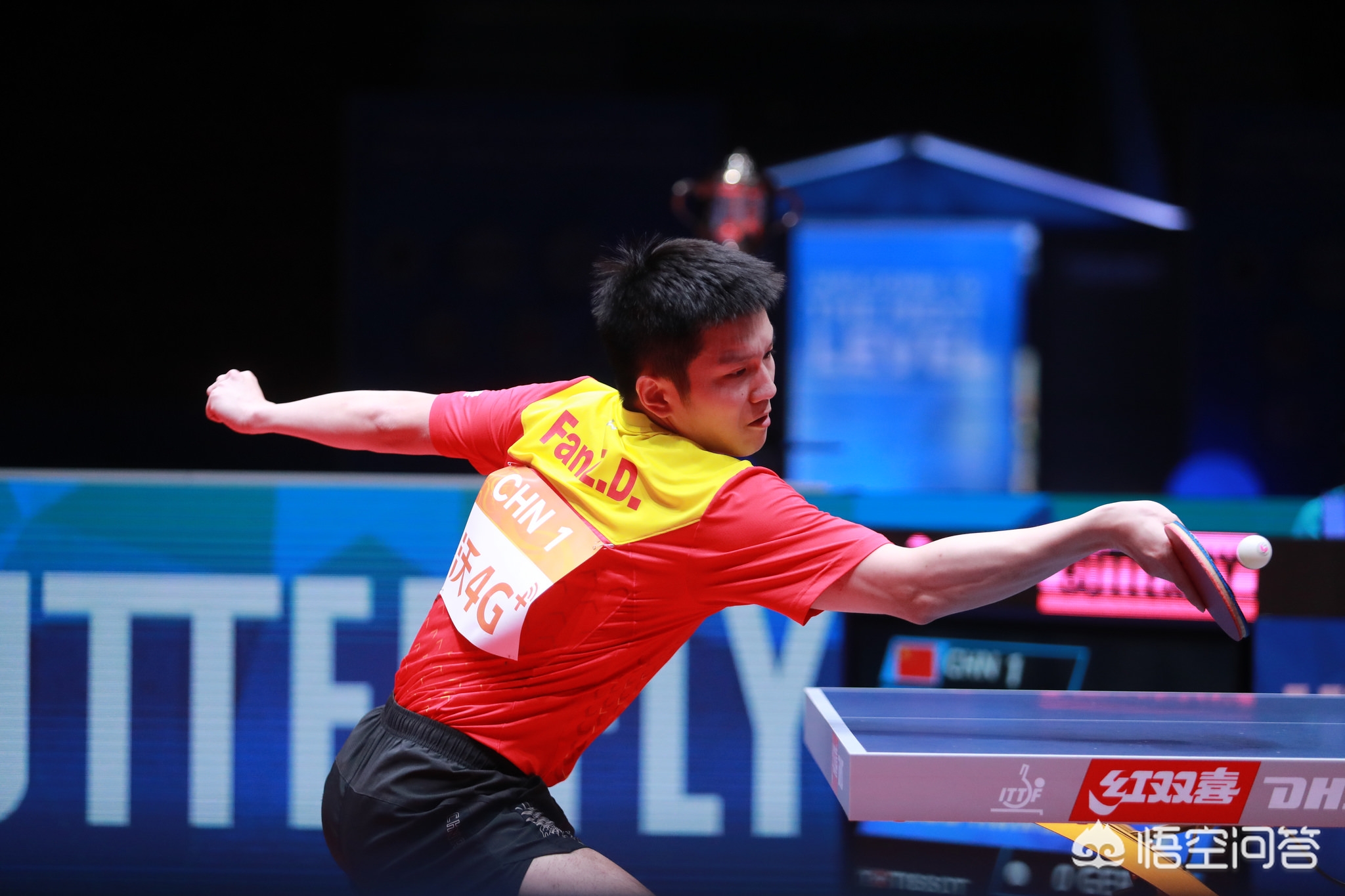 以及教练在 以及教练在